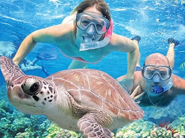 Snorkel
